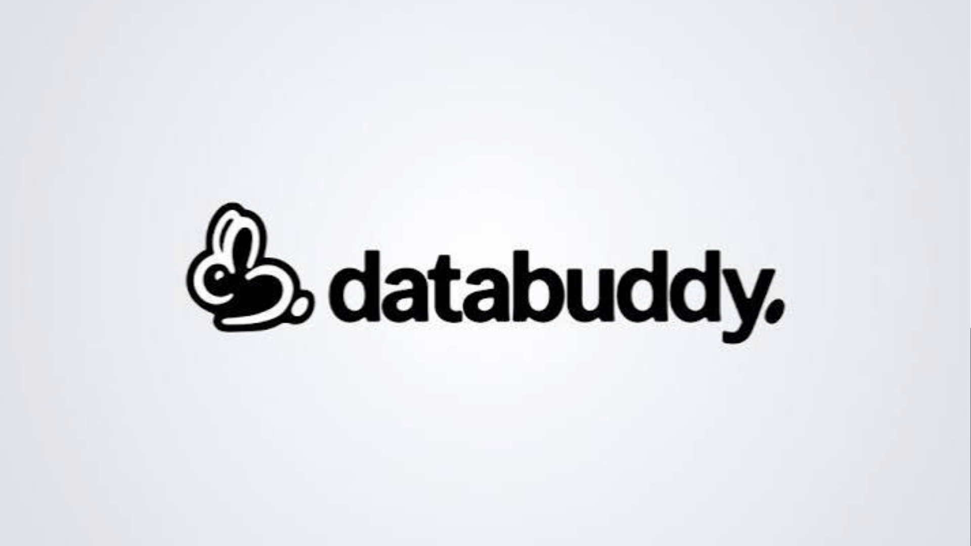 Databuddy Raises Over $560,000 and Joins Y Combinator to Advance AI ...